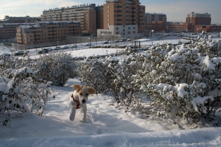 Corriendo11Ene2010